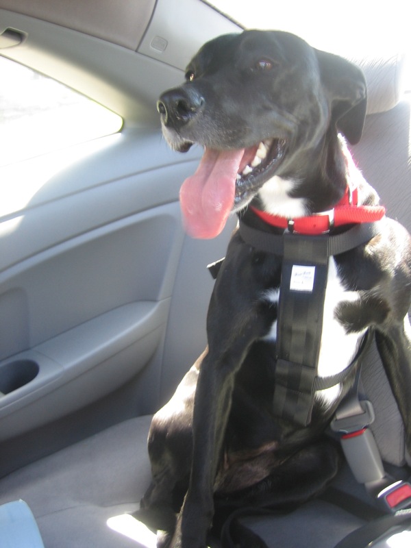 301 Moved Permanently