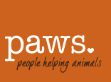 PAWS Seattle