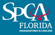 SPCA Florida (Lakeland, FL) 
