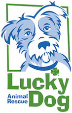 Lucky Dog Animal Rescue (Washington, D.C)