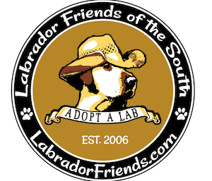 Labrador Friends of the South (Cumming, GA)