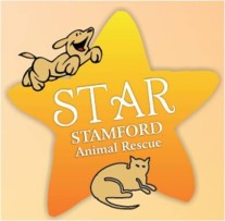 Stamford Animal Rescue (Stamford, CT)