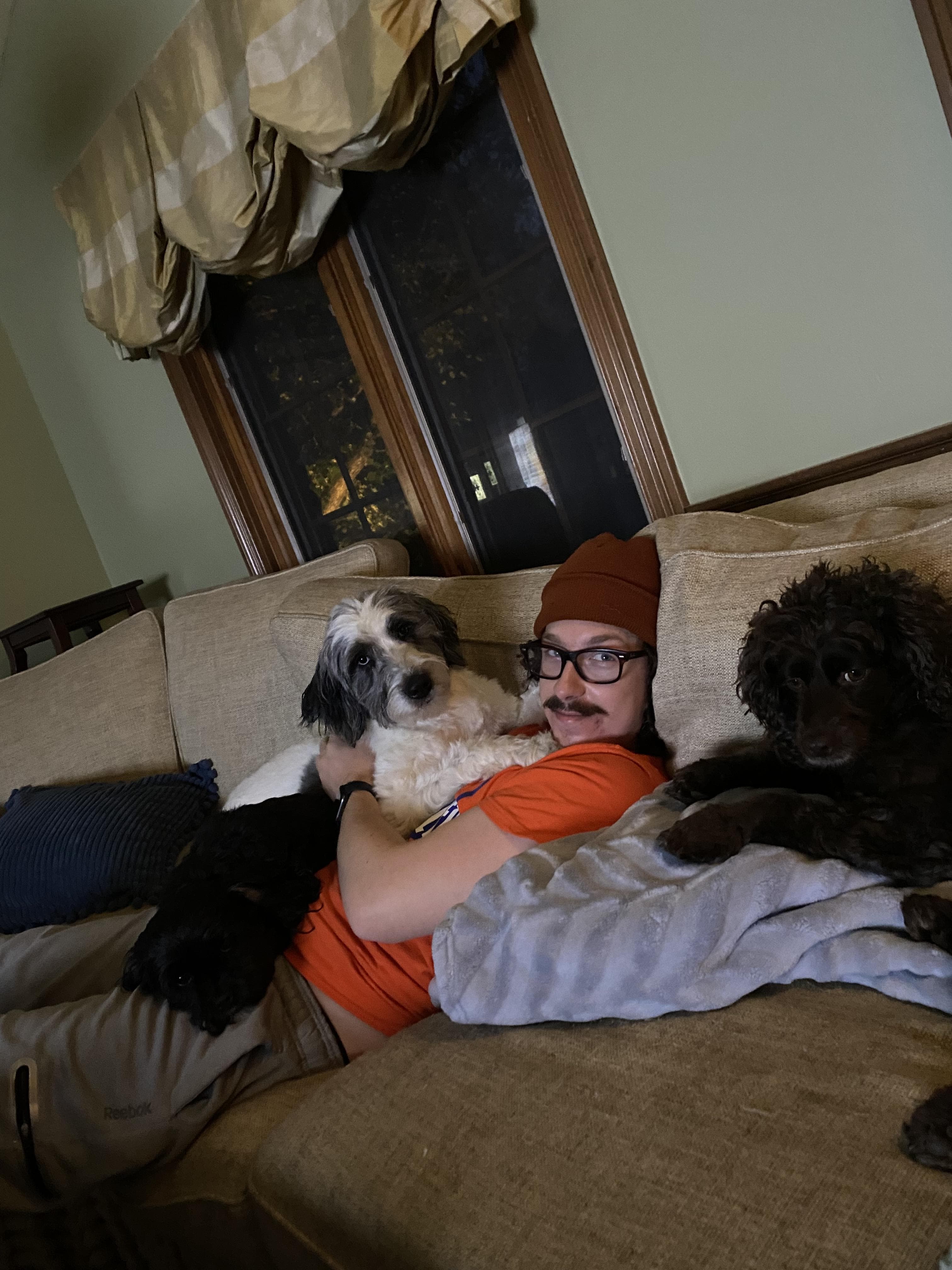 pet