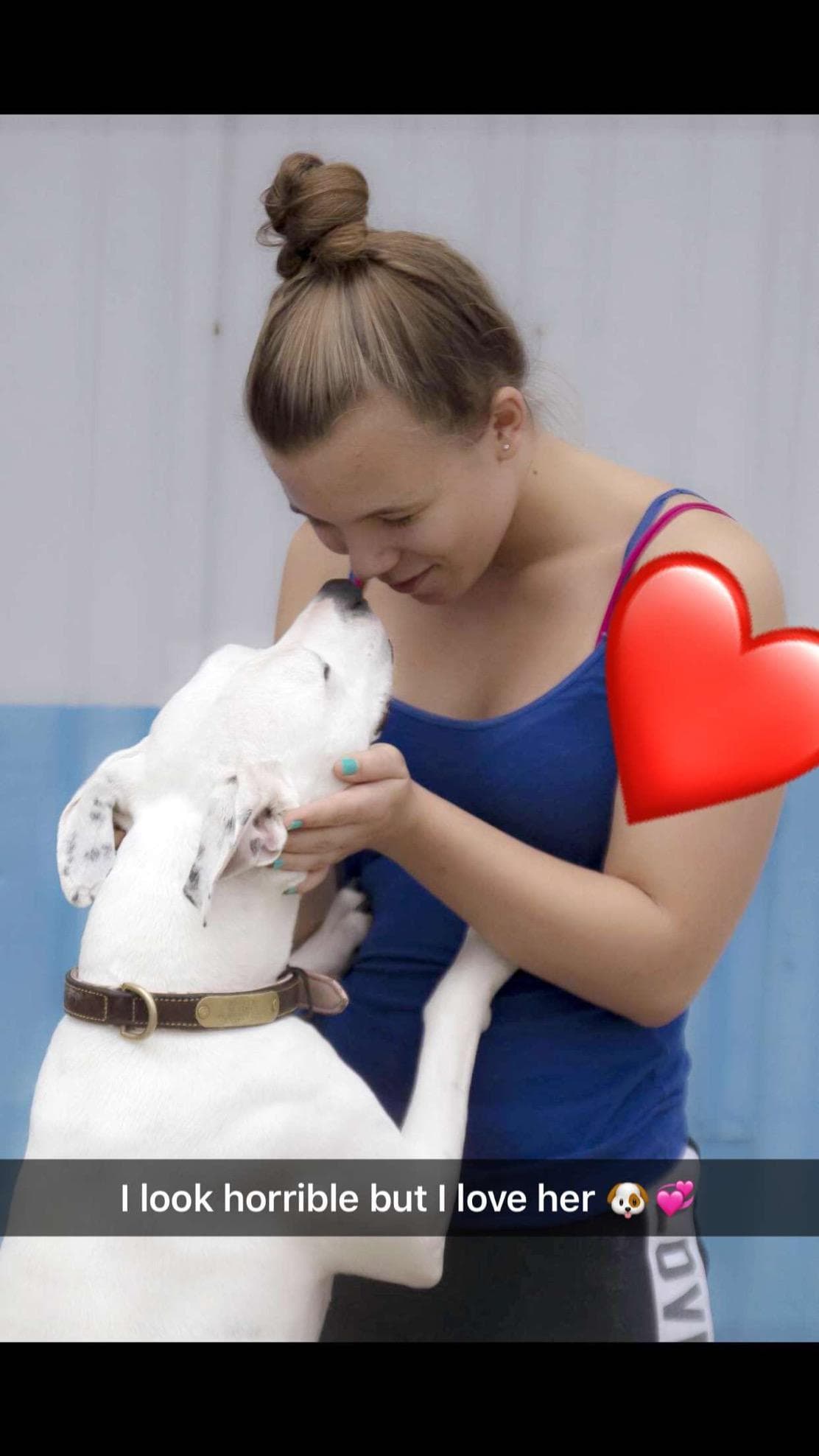 pet