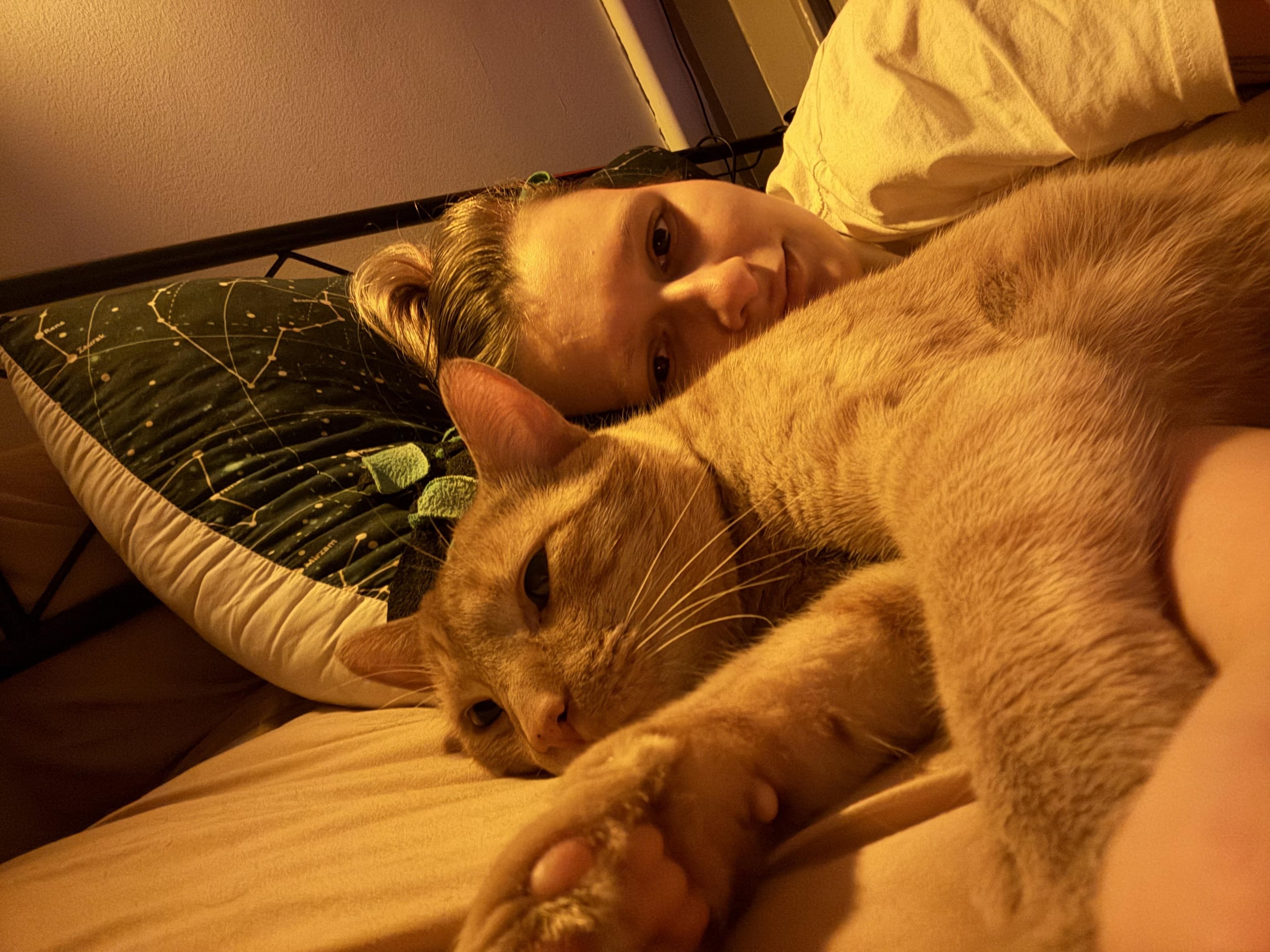 pet