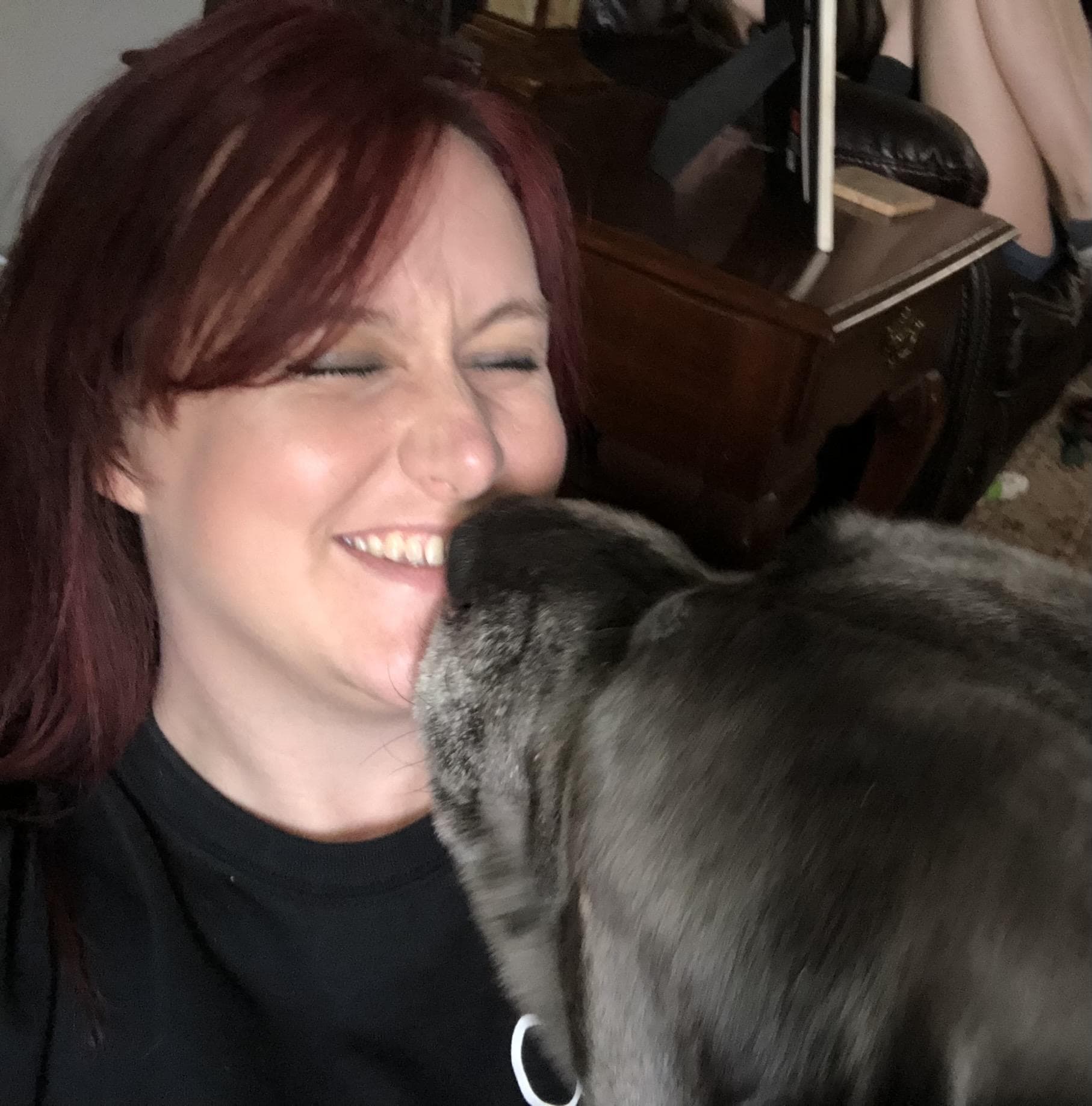 pet