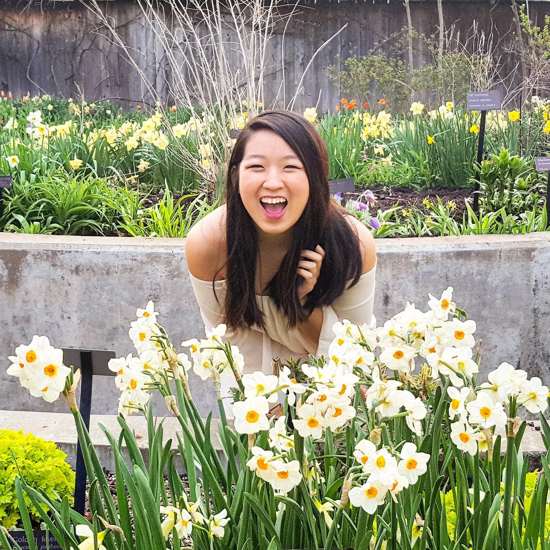 Profile photo of Shiori H.