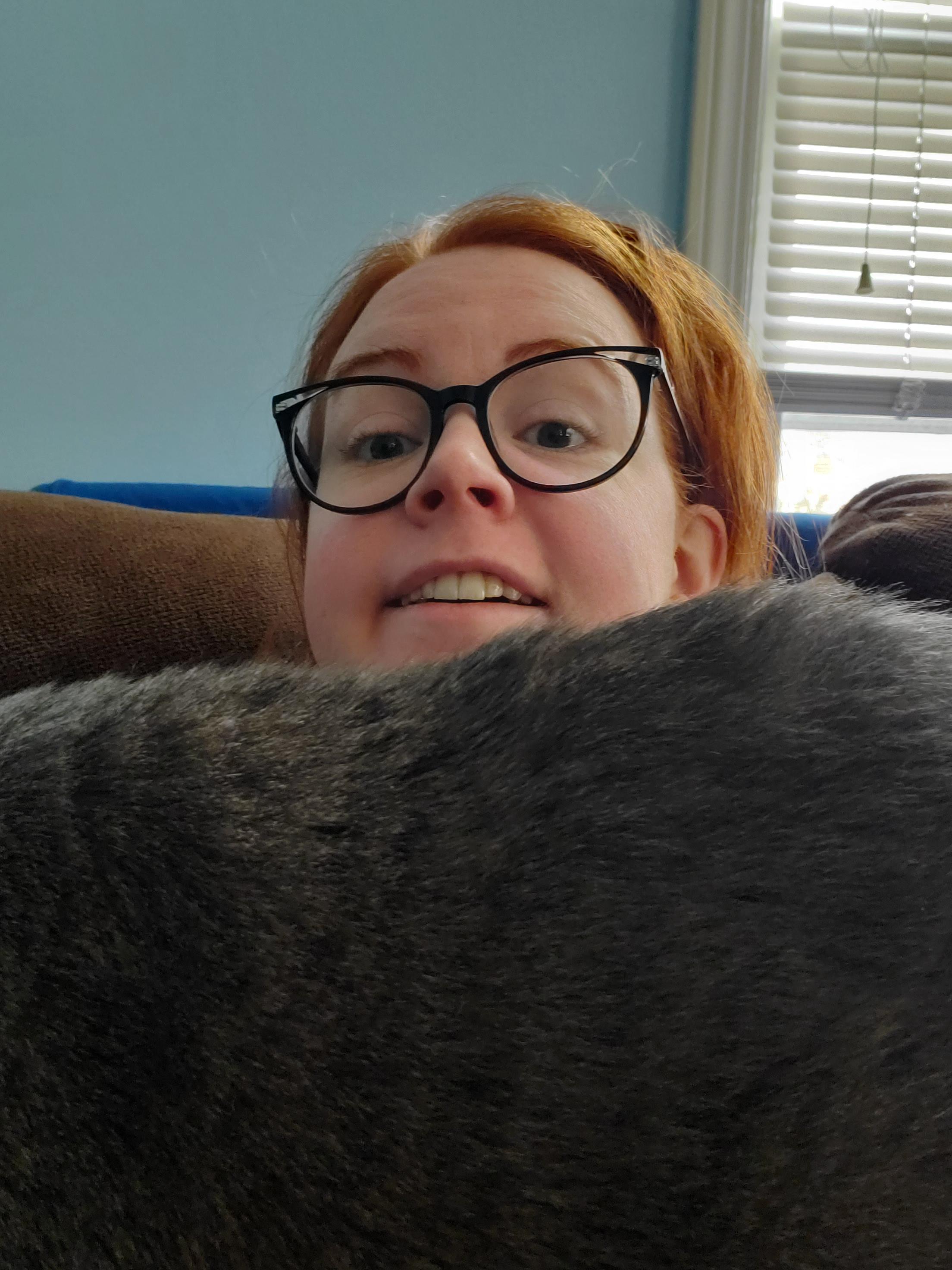 pet
