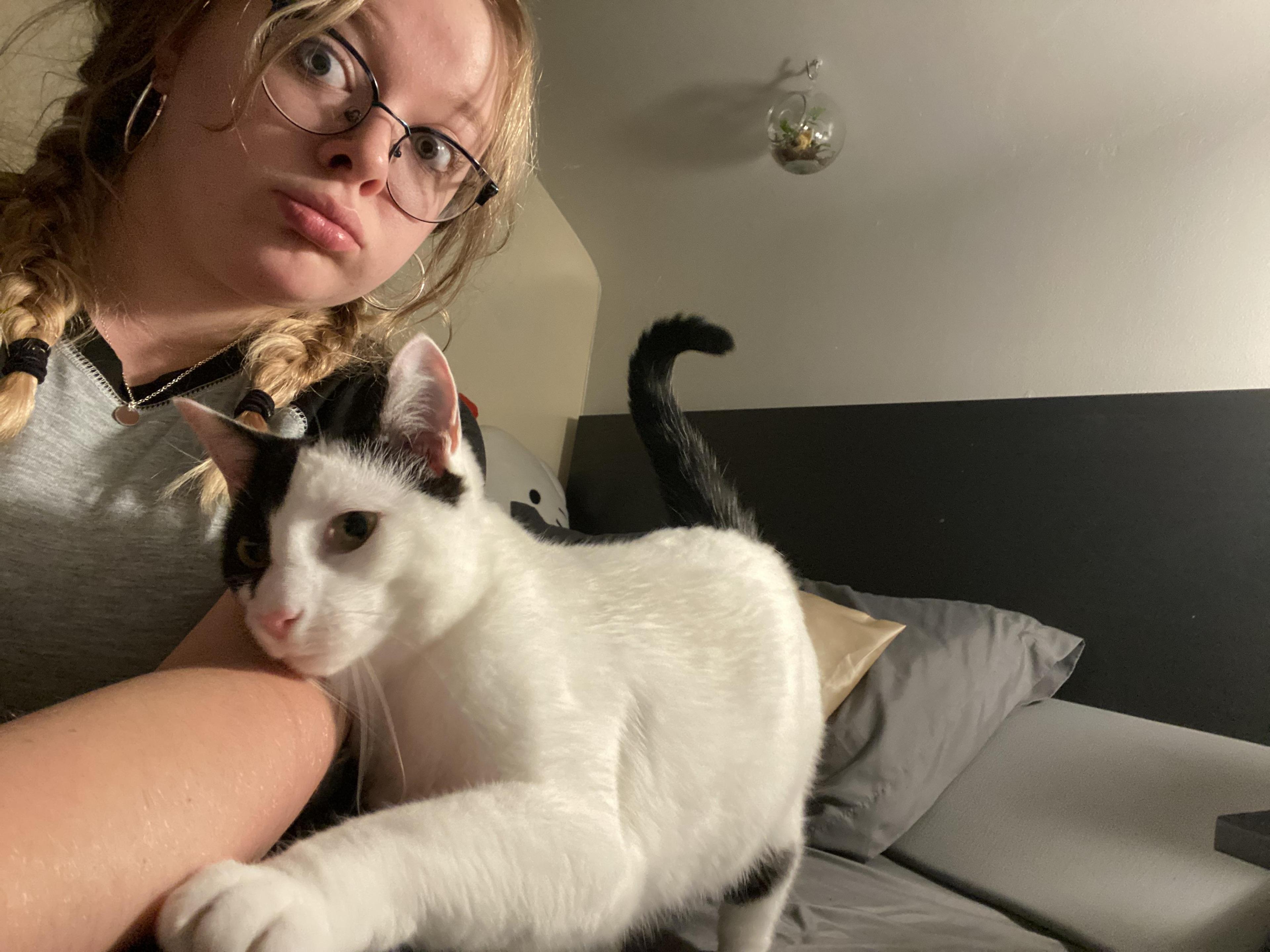 pet