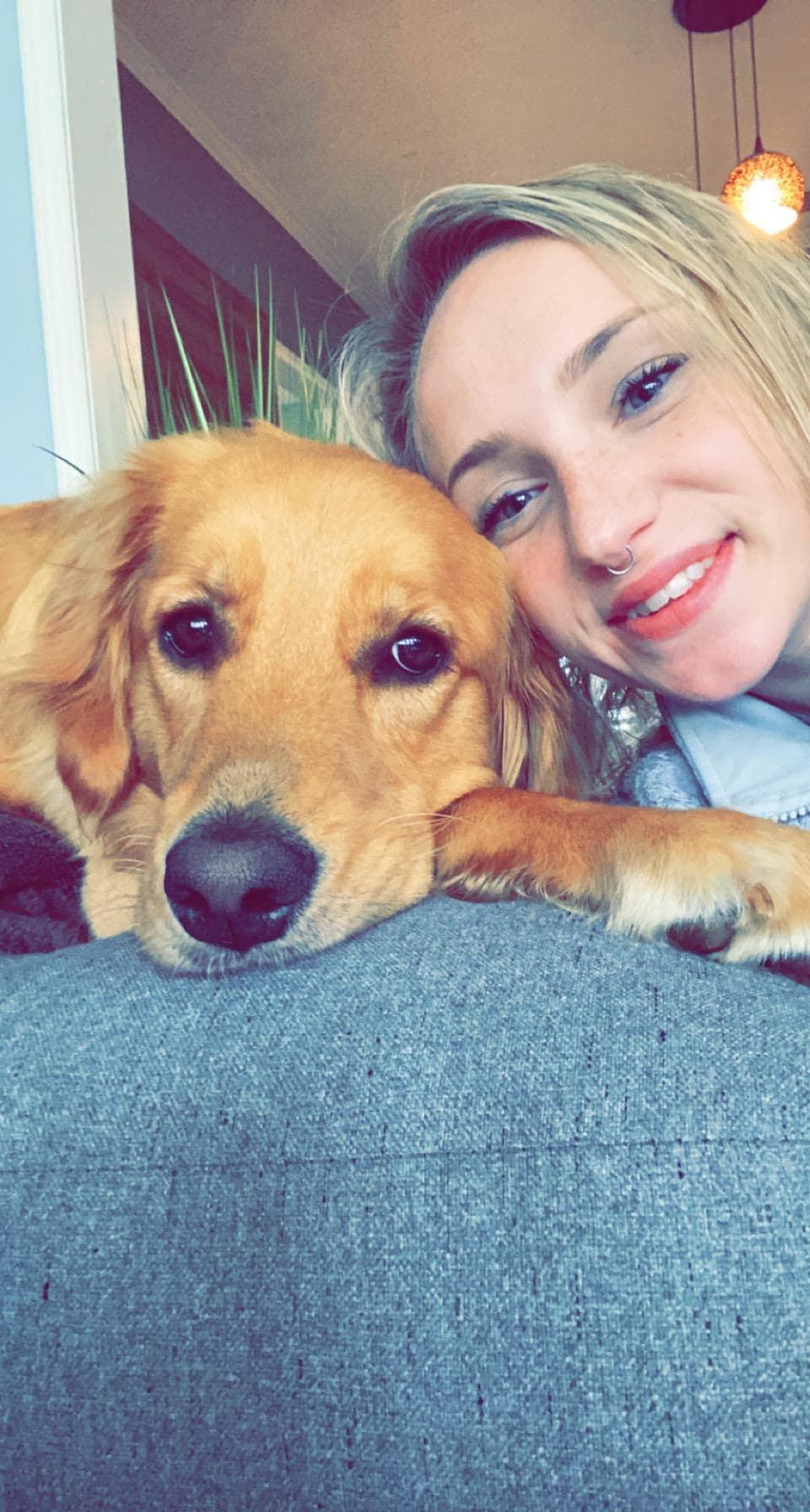 pet