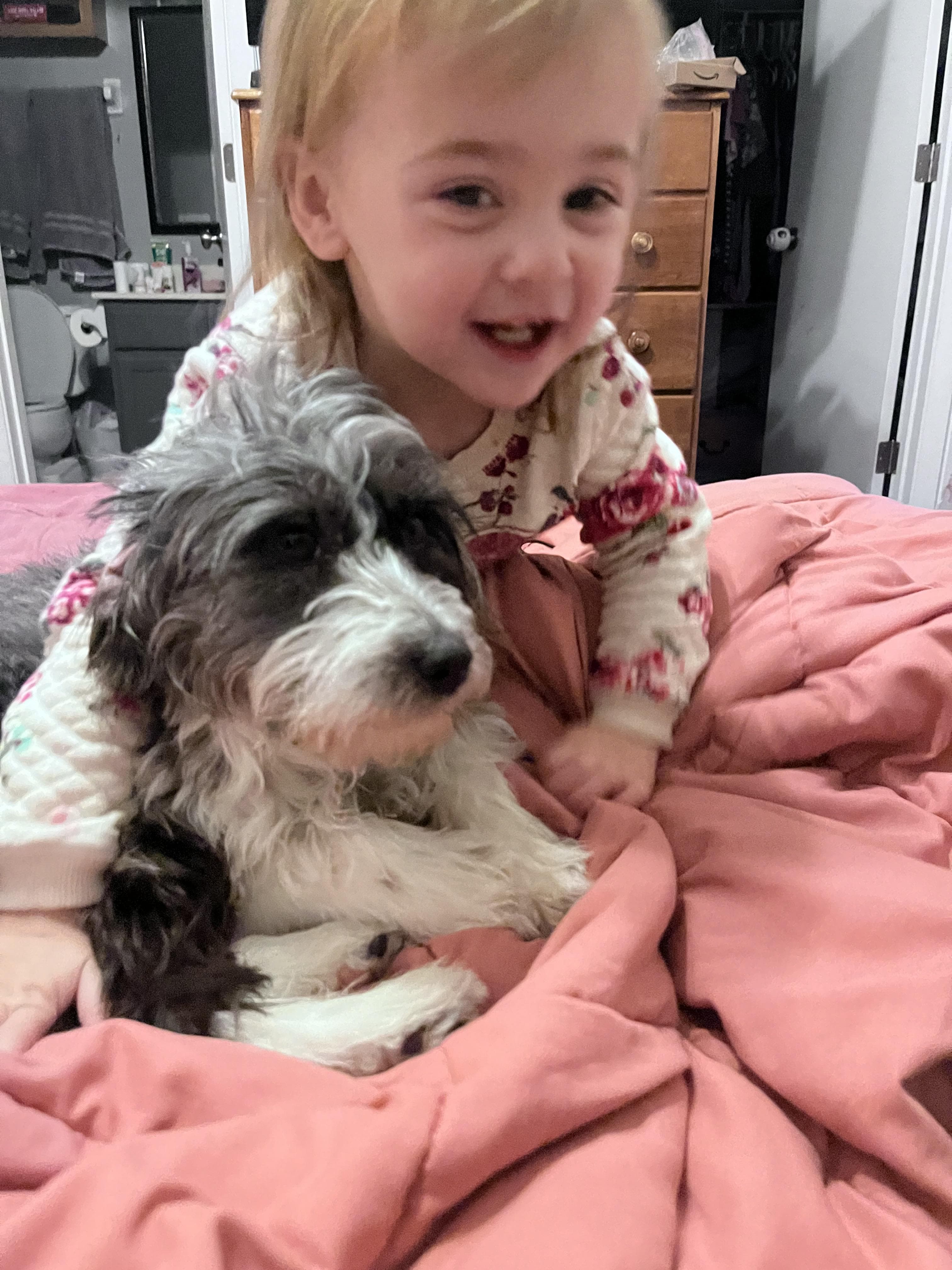 pet