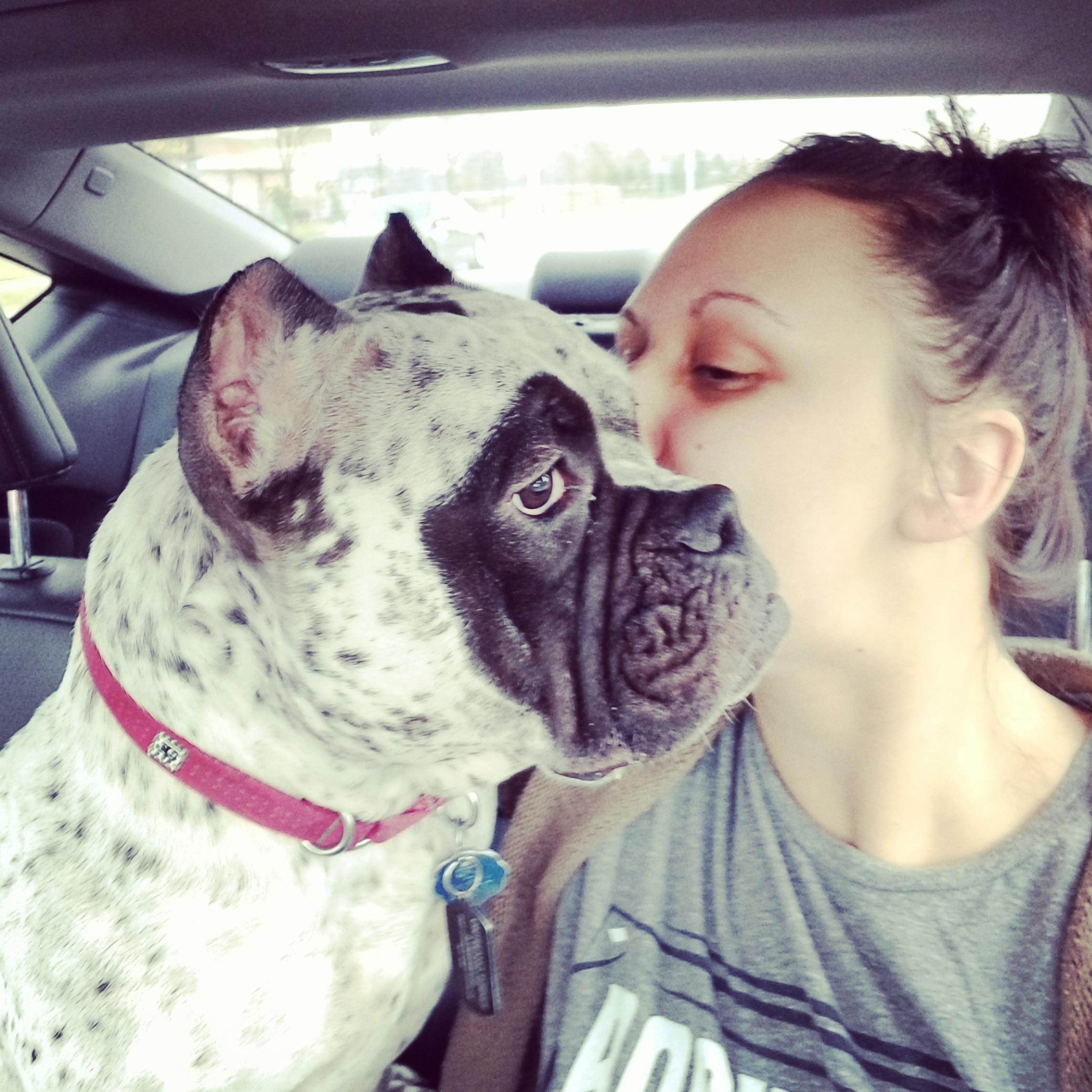 pet