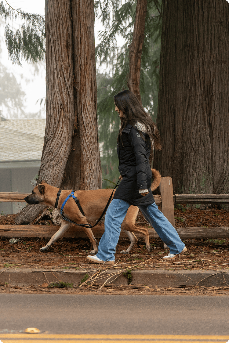 A woman walking her dog in a park