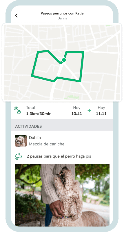 Rover card image