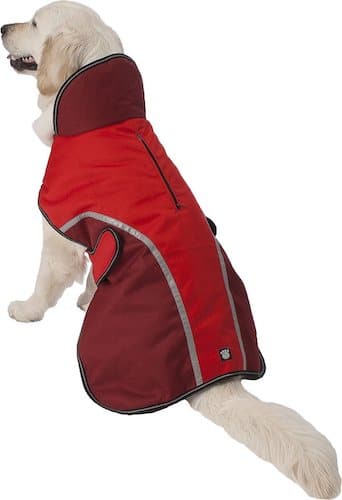 Dog wearing red jacket.