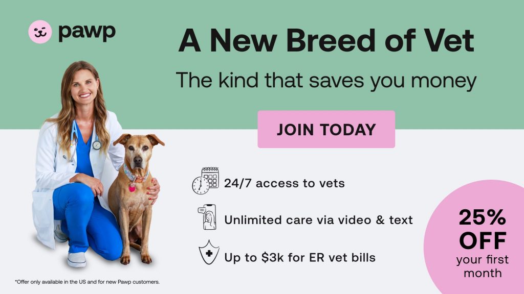 Process of a Pup to a Service Dog Love Actereptur1964