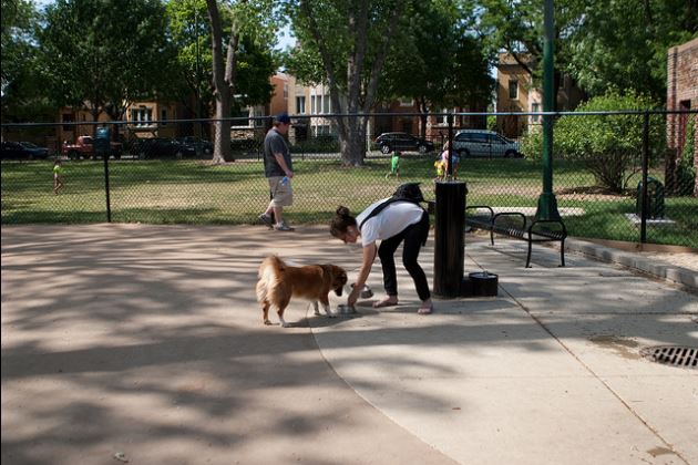 Portage Dog Park