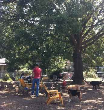 Dog Friendly Restaurants In Atlanta Ga Dog Friendly Restaurants In Atlanta Ga