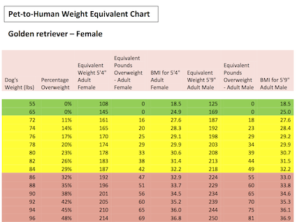 Rover.com Blog: Pet-to-Human Weight Equivalent Chart