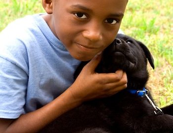 foster dog boy playing with puppy