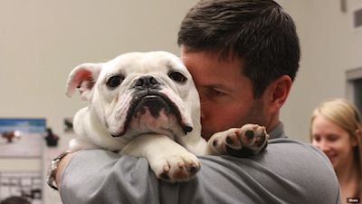 Image result for bulldog hug