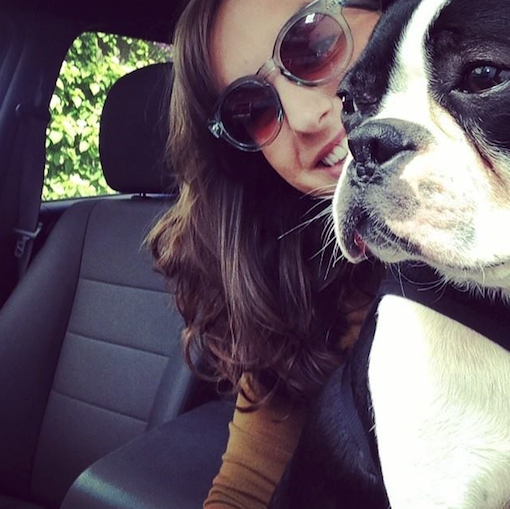 A happy #RoverLyfts winner and her beautiful Boston Terrier! // Rover.com Blog A happy #RoverLyfts winner and her beautiful Boston Terrier! // Rover.com Blog