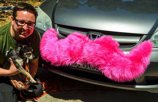 This Chihuahua is riding in style with Lyft and Rover.com This Chihuahua is riding in style with Lyft and Rover.com