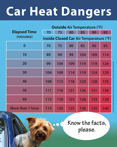 Car heat danger: The inside of a car can become very hot, very quickly, even on cooler days. // Credit: Cummings School of Veterinary Medicine at Tufts University