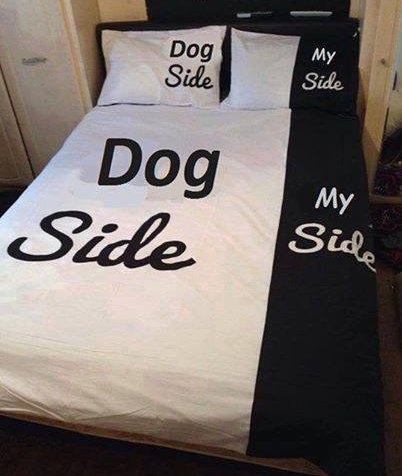 Dog side of the bed