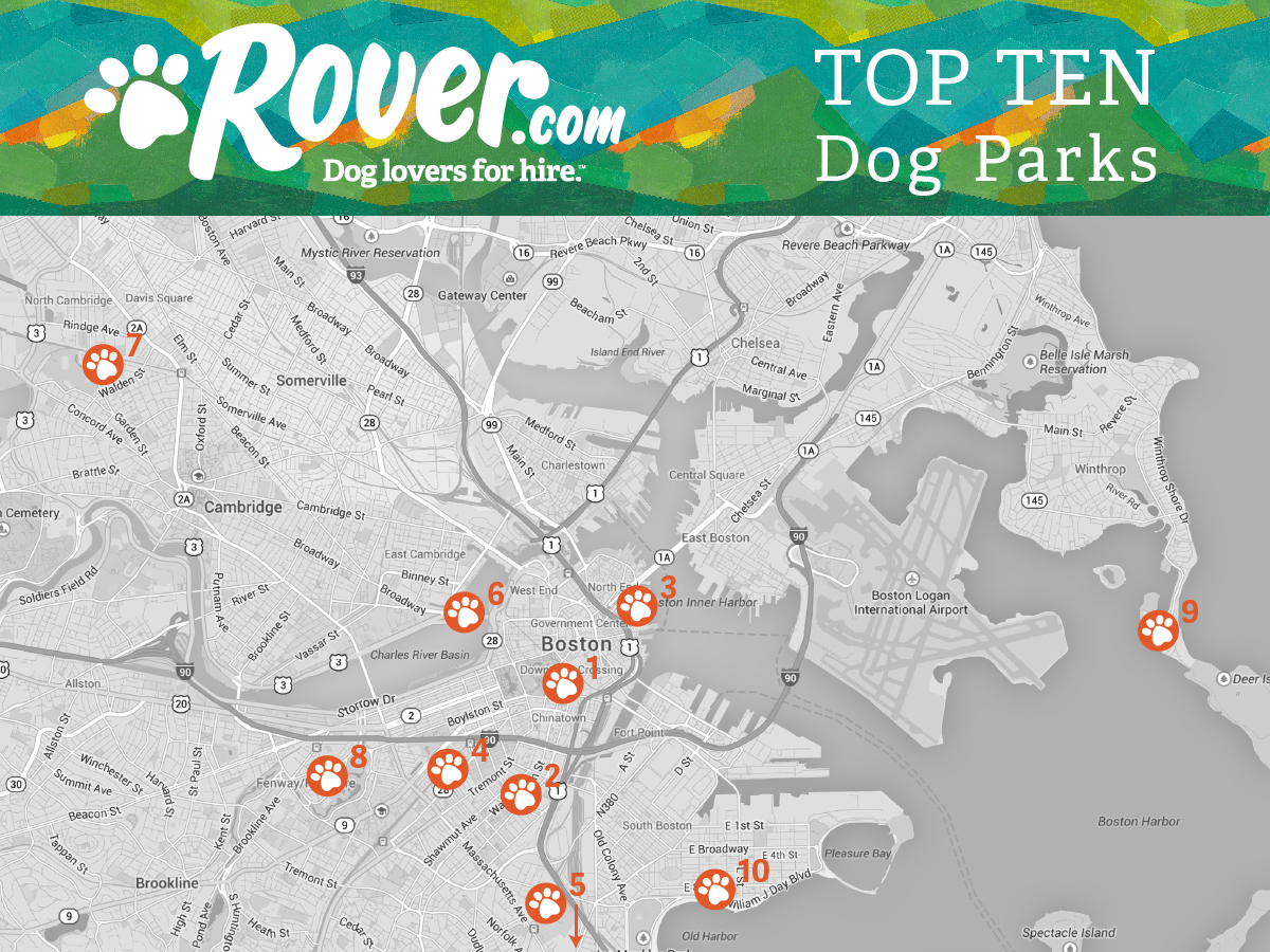 Top 10 Boston Dog Parks Rover Blog