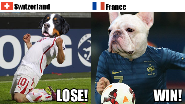 Rover.com's World Cup Predictions: Switzerland vs. France // Rover.com Blog