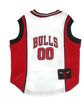 Chicago Bulls dog jersey