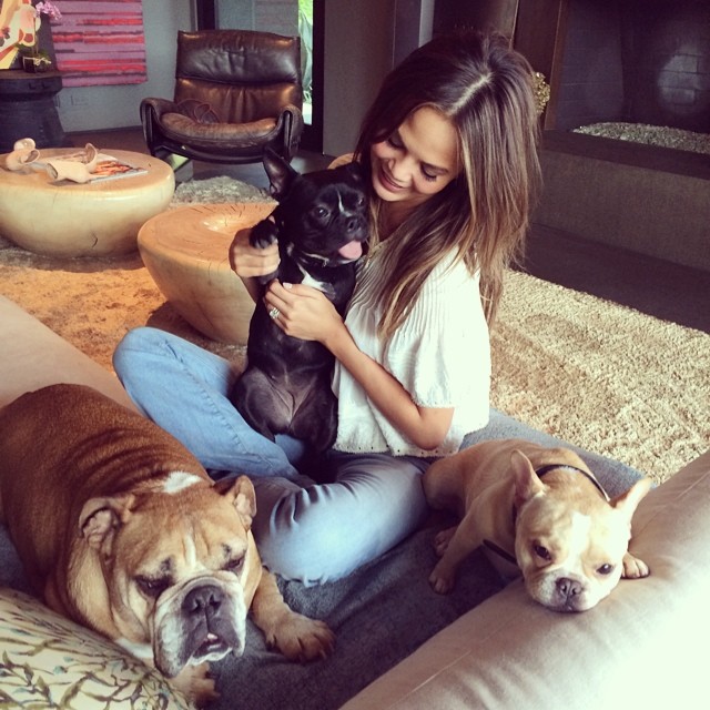 Photo of Chrissy Teigen & her Dog