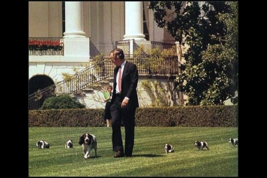 George H.W. Bush and his springer spaniel Millie