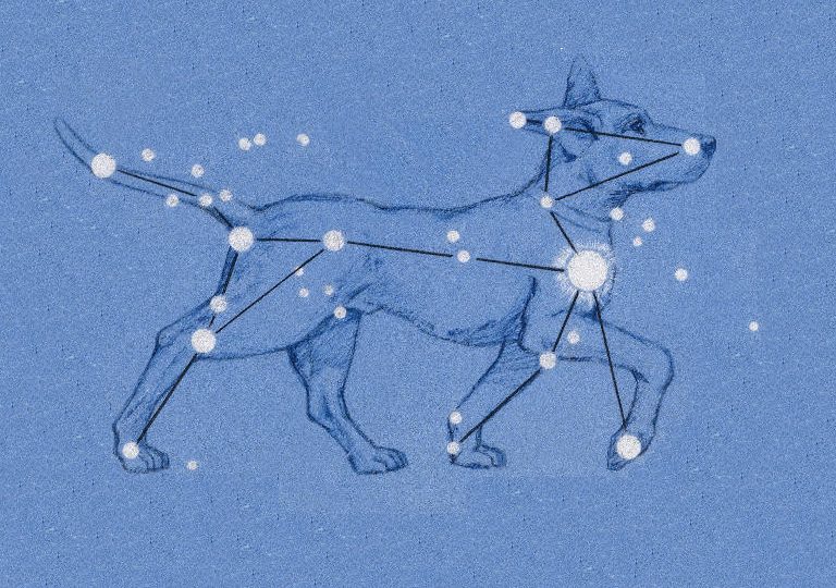 Canis Major illustration, dog astrology