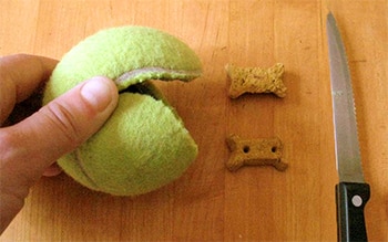 DIY Dog Puzzle - Tennis Ball Kong Toy
