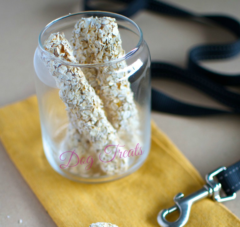 homemade frozen dog treat pupsicle