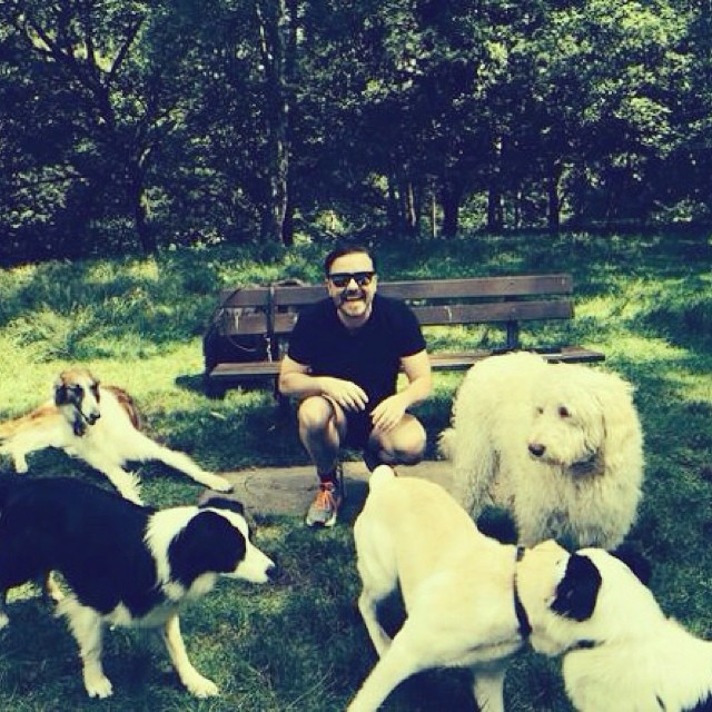 A dozen dog-loving celebs you should follow on Instagram | The Dog