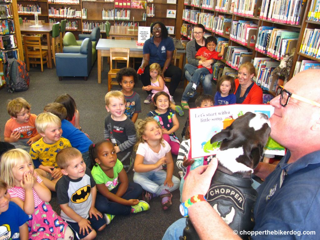 Chopper reading - Chopper the Biker Dog, therapy dog