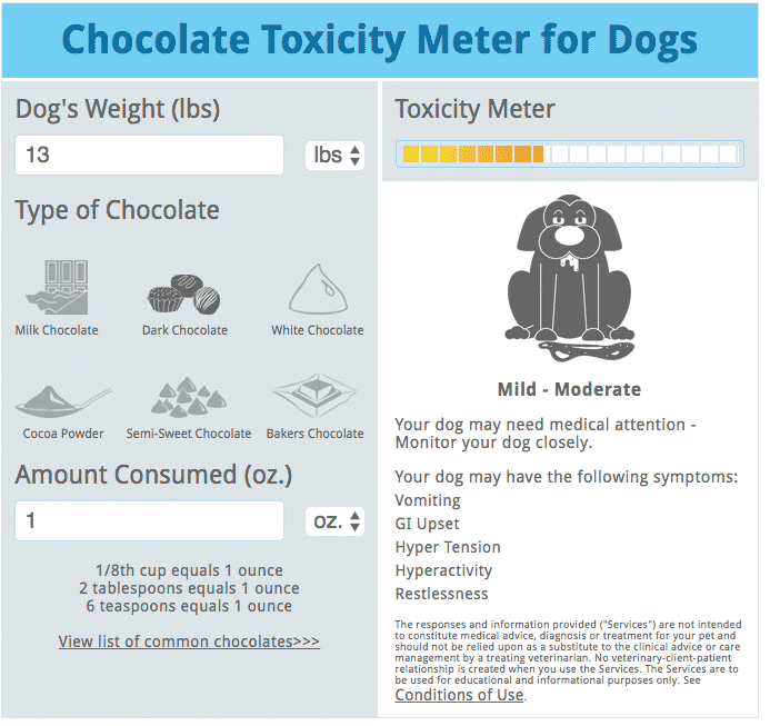 Chocolate Toxicity Meter
