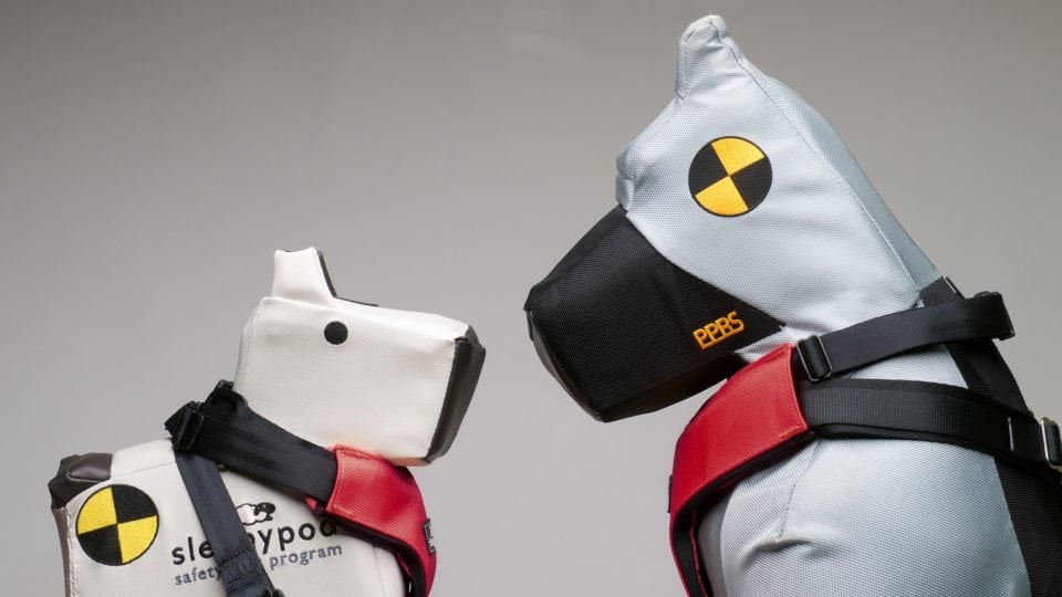 Two crash dummies shaped like dogs wearing Sleepypod car harnesses