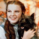 Dorothy and Toto - list of dog movies