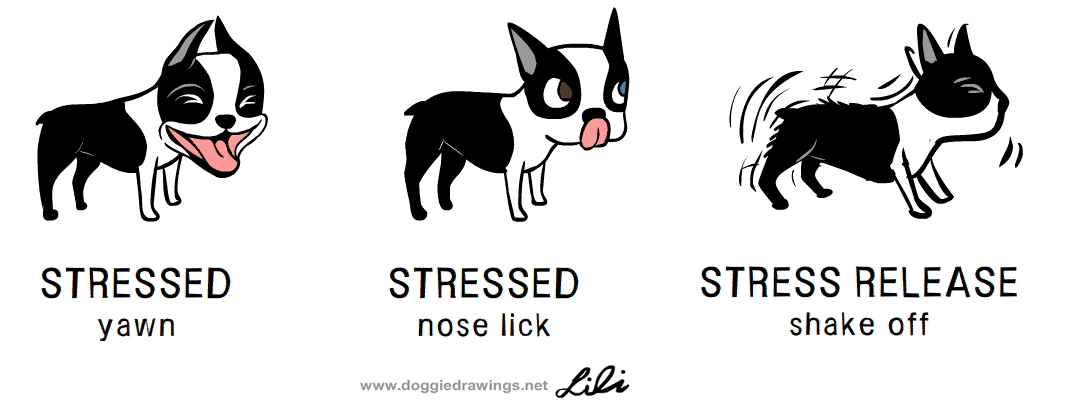 dog behavior an illustrated