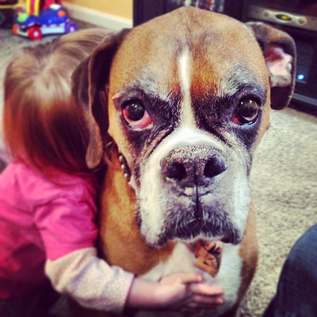 Baby hugs angry-looking dog - how to introduce your dog to your baby