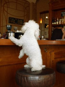 Dog at a bar - rainy day dogs