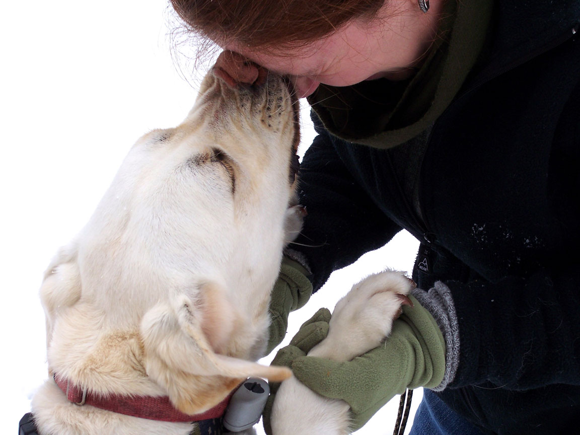 Dog kisses woman's nose - can dogs smell cancer?