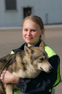 Sulimov jackal dog hybrid Aeroflot