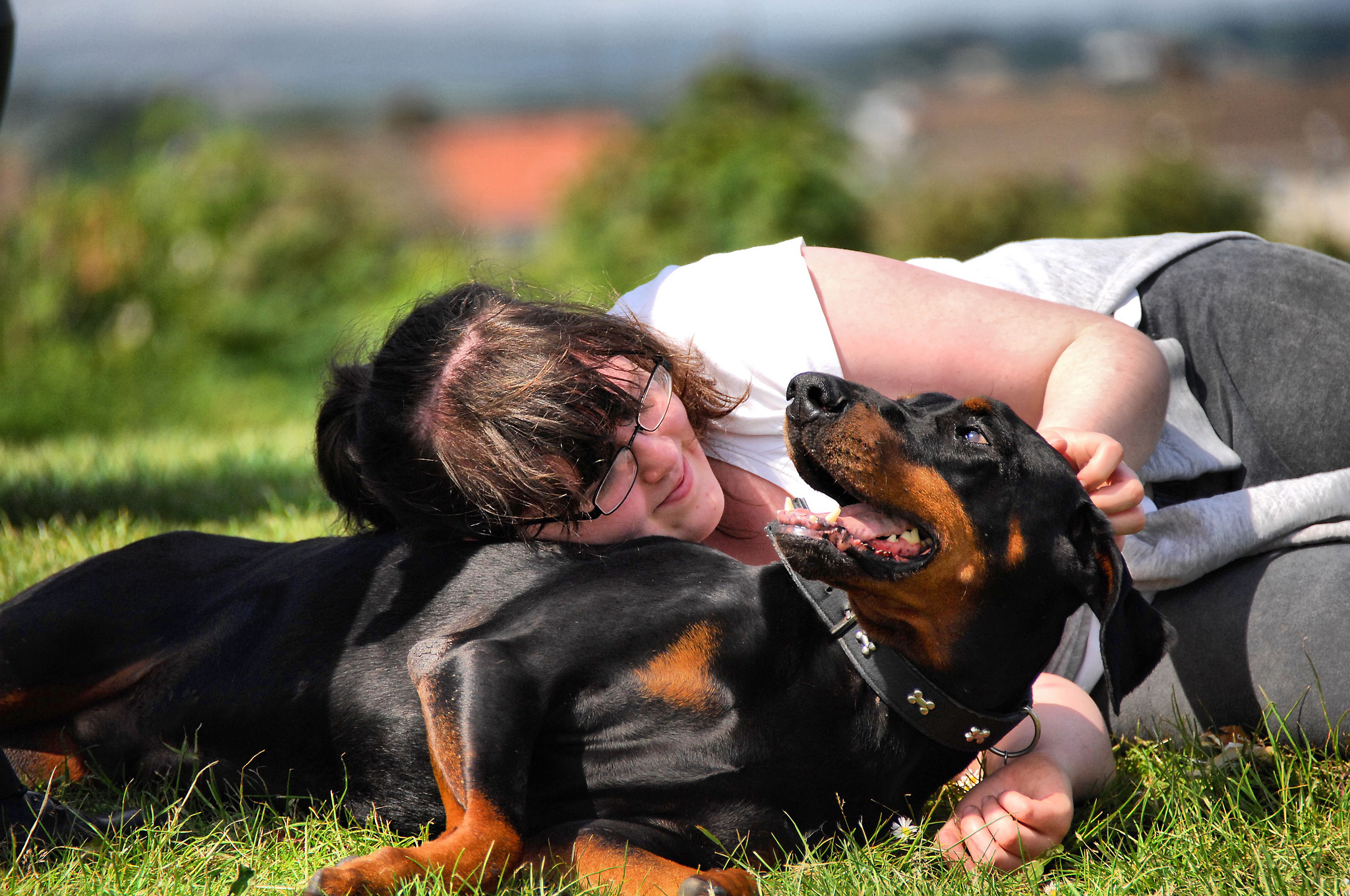 rottweiler cuddle 12 tough looking dogs with hearts of gold rover rottweiler cuddle 12 tough looking dogs with hearts of gold rover