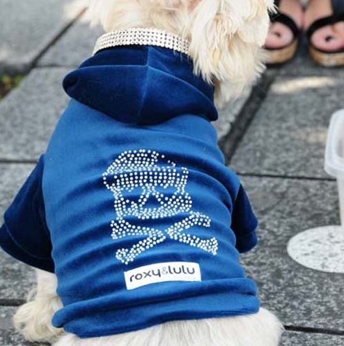 Dog hoodie - fall fashion for dogs