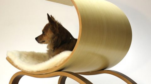 Dog furniture